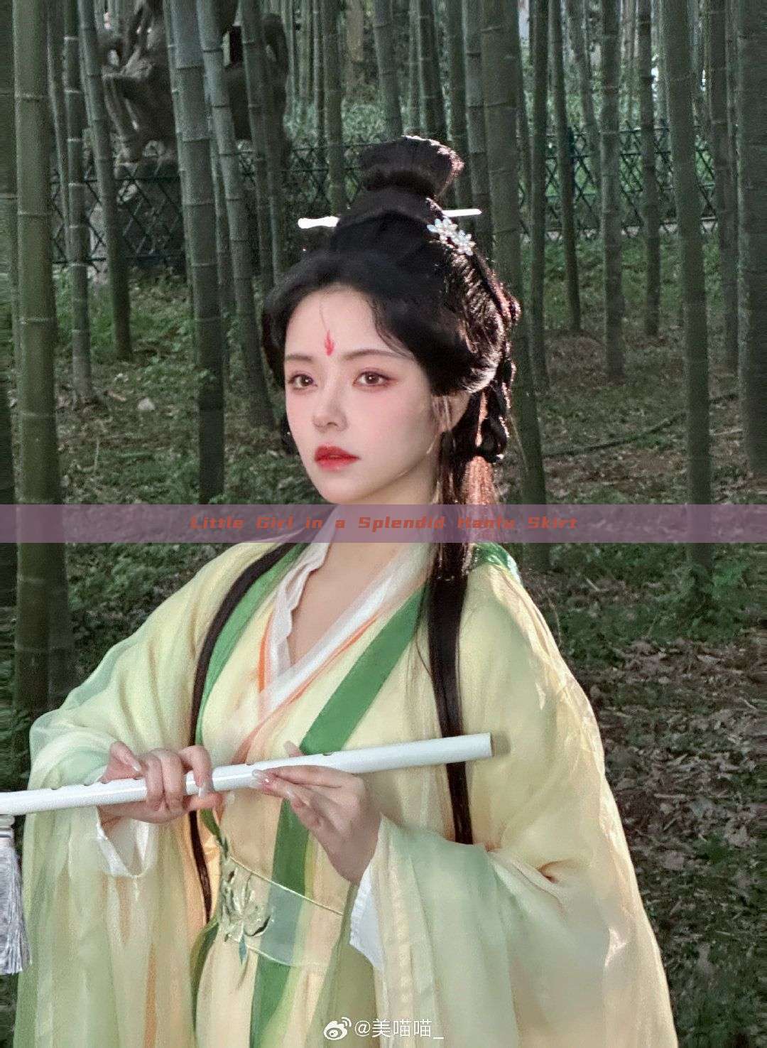 Little Girl in a Splendid Hanfu Skirt Little Girl in a Splendid Hanfu Skirt
