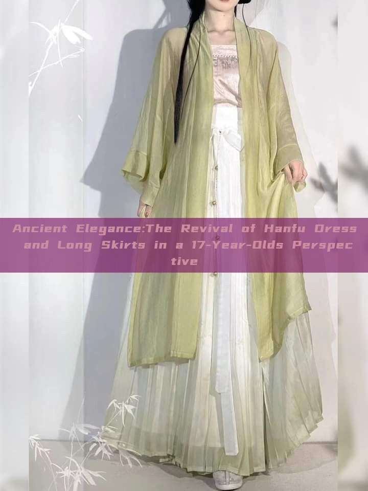 Ancient Elegance:The Revival of Hanfu Dress and Long Skirts in a 17-Year-Olds Perspective Ancient Elegance:The Revival of Hanfu Dress and Long Skirts in a 17-Year-Olds Perspective