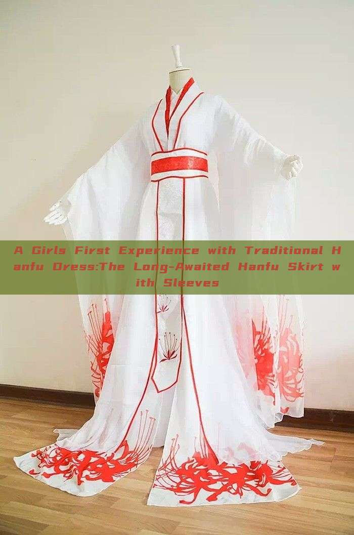 A Girls First Experience with Traditional Hanfu Dress:The Long-Awaited Hanfu Skirt with Sleeves