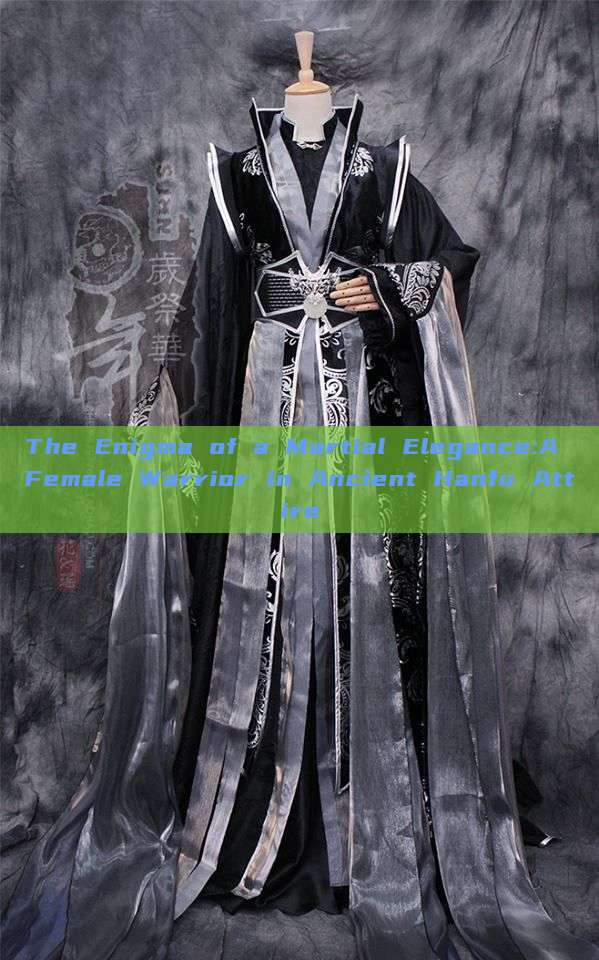 The Enigma of a Martial Elegance:A Female Warrior in Ancient Hanfu Attire The Enigma of a Martial Elegance:A Female Warrior in Ancient Hanfu Attire