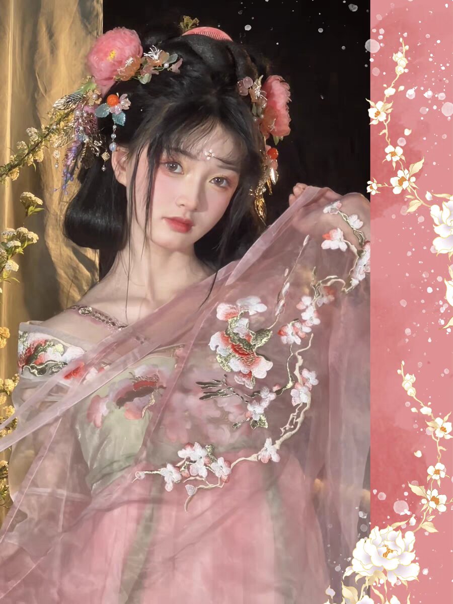 The 13-Year-Old Tang Dynasty Hanfu Girl The 13-Year-Old Tang Dynasty Hanfu Girl