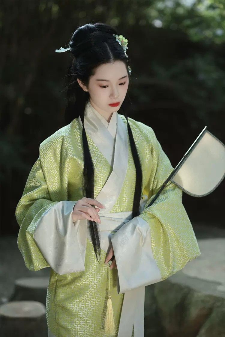 Winter Ming Dynasty Hanfu Fashion:A Blend of Tradition and Elegance Winter Ming Dynasty Hanfu Fashion:A Blend of Tradition and Elegance