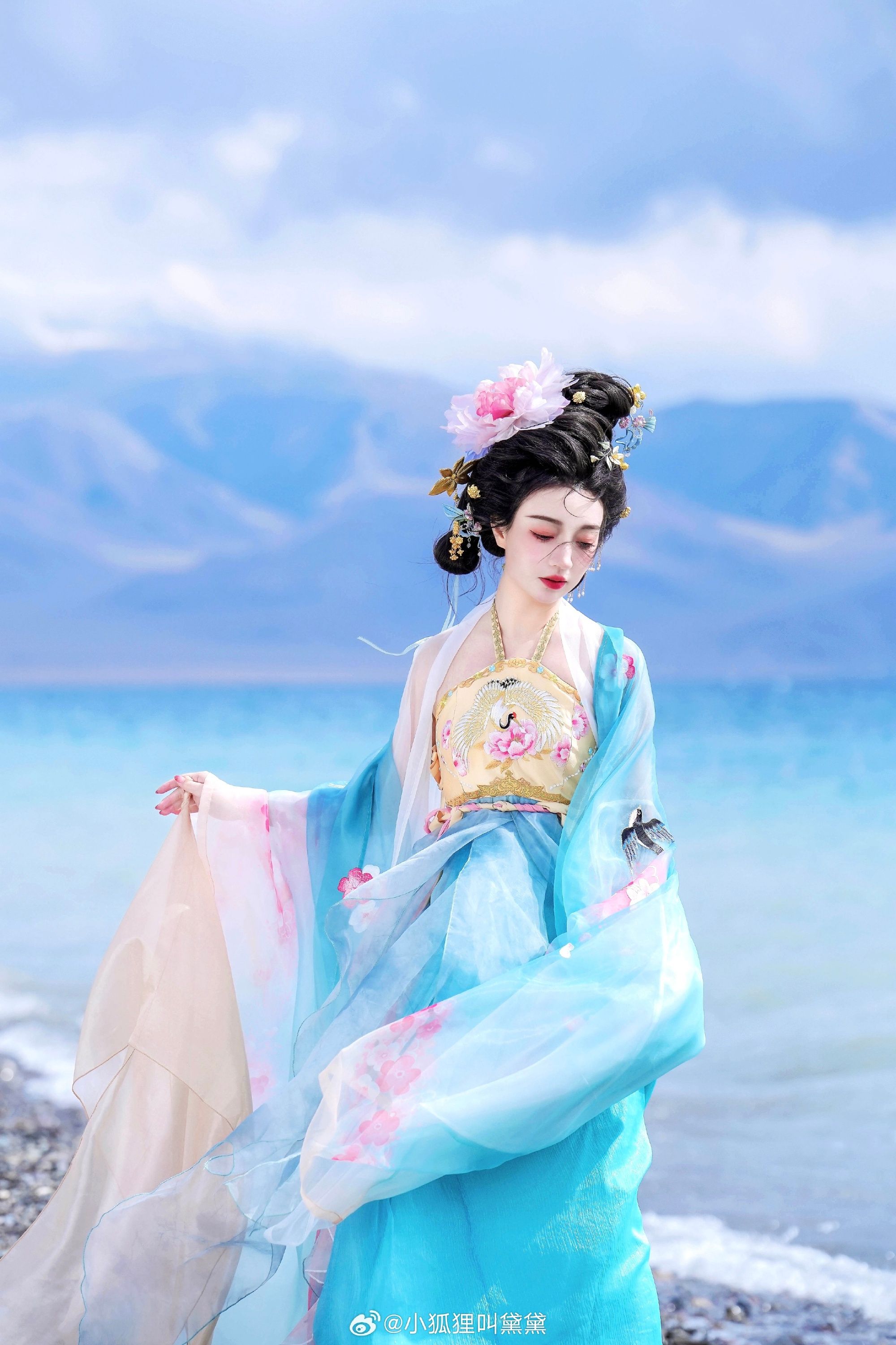 The Splendor of Ming-Style Hanfu Horse-Tail Skirt Ensemble The Splendor of Ming-Style Hanfu Horse-Tail Skirt Ensemble
