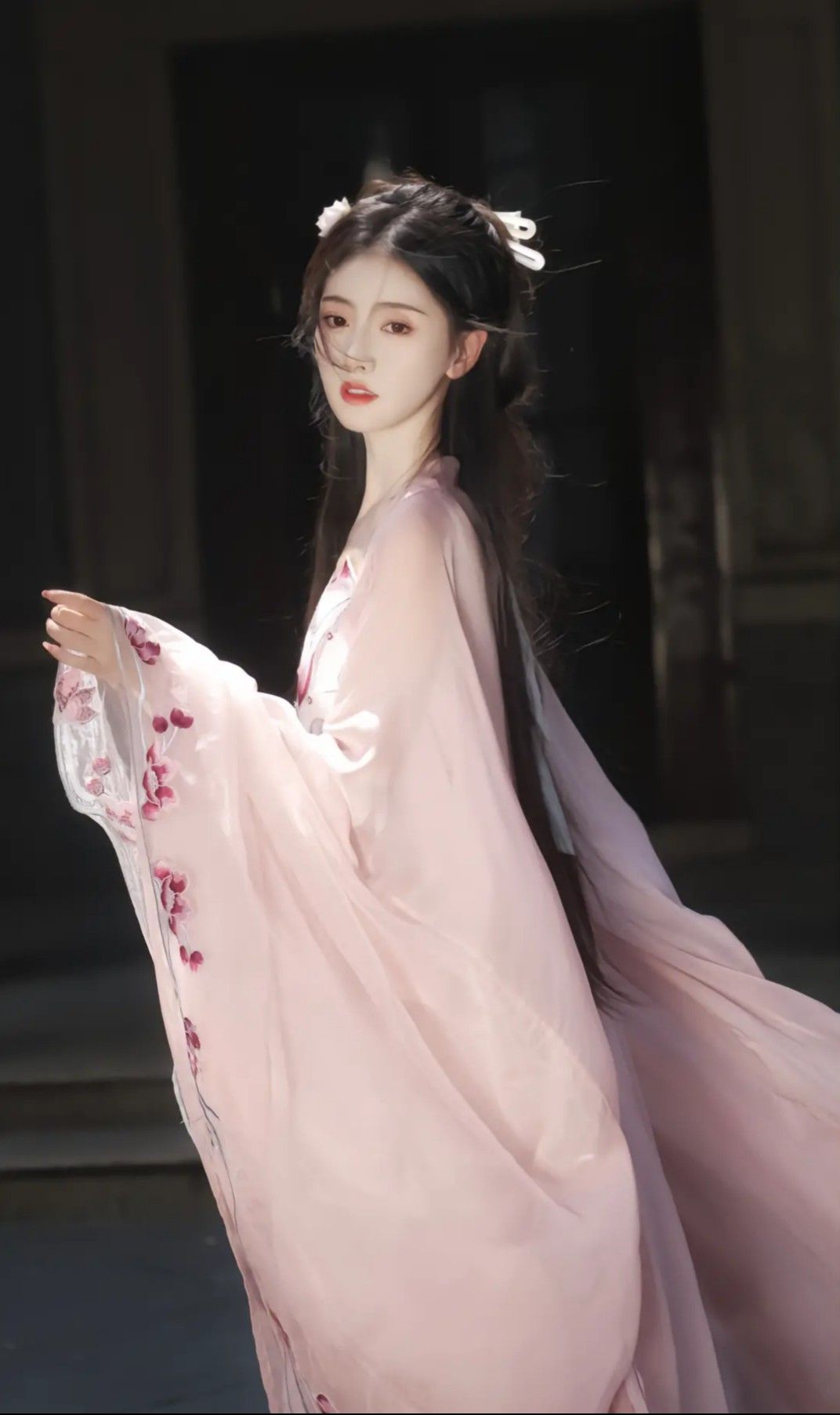 Moonlit Elegance:The Charm of Traditional Hanfu Costumes Moonlit Elegance:The Charm of Traditional Hanfu Costumes