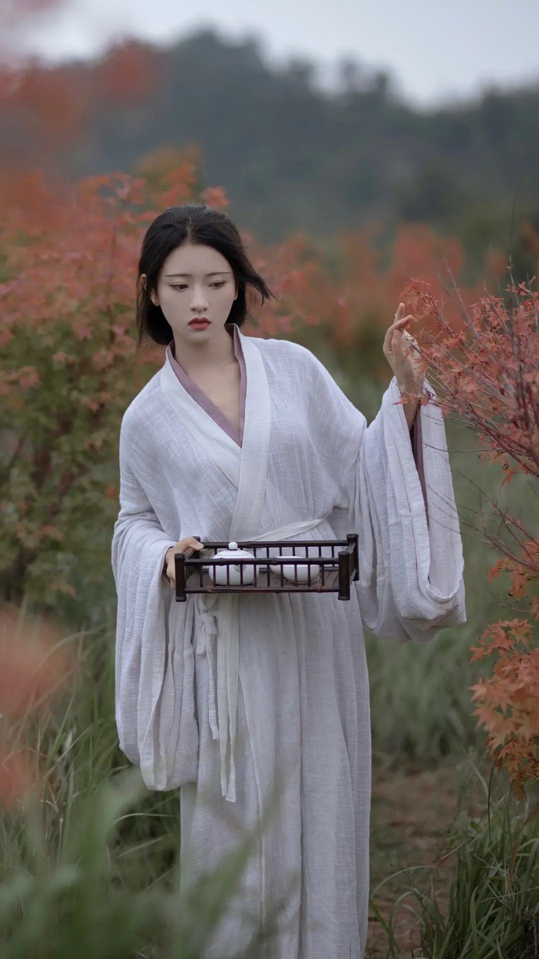 The Three-Piece Set of Song Dynasty Hanfu:A Journey into Traditional Chinese Elegance The Three-Piece Set of Song Dynasty Hanfu:A Journey into Traditional Chinese Elegance