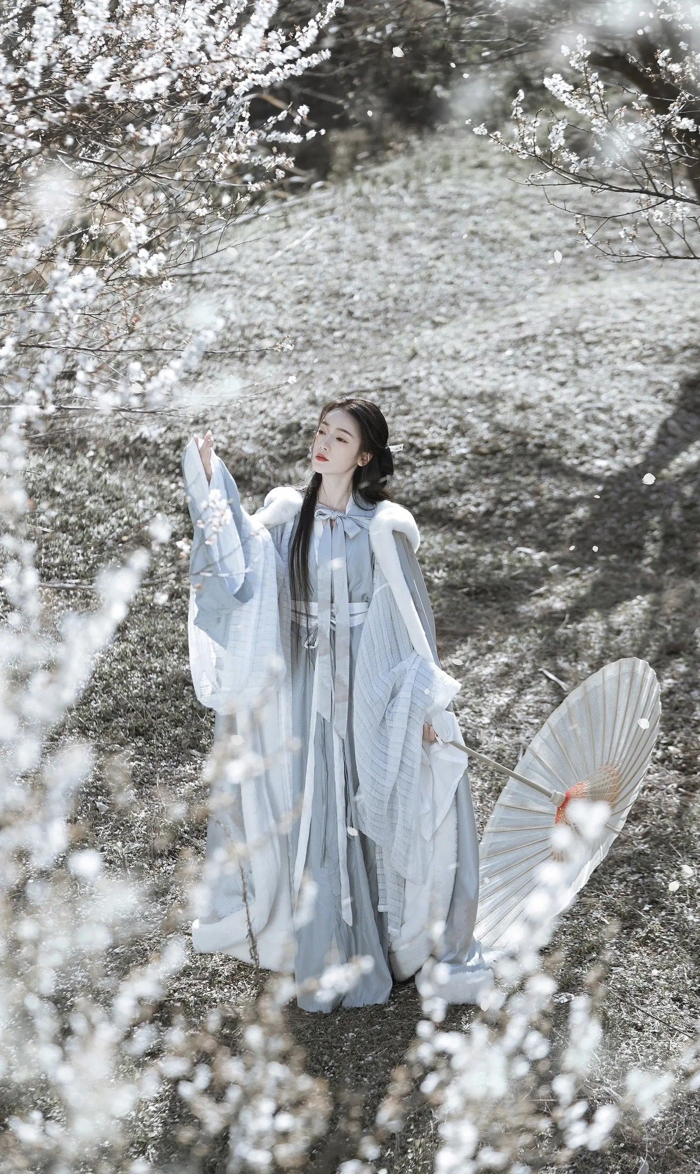 Peach Blossom Cheongsam:A Tale of Elegance and Tradition Peach Blossom Cheongsam:A Tale of Elegance and Tradition
