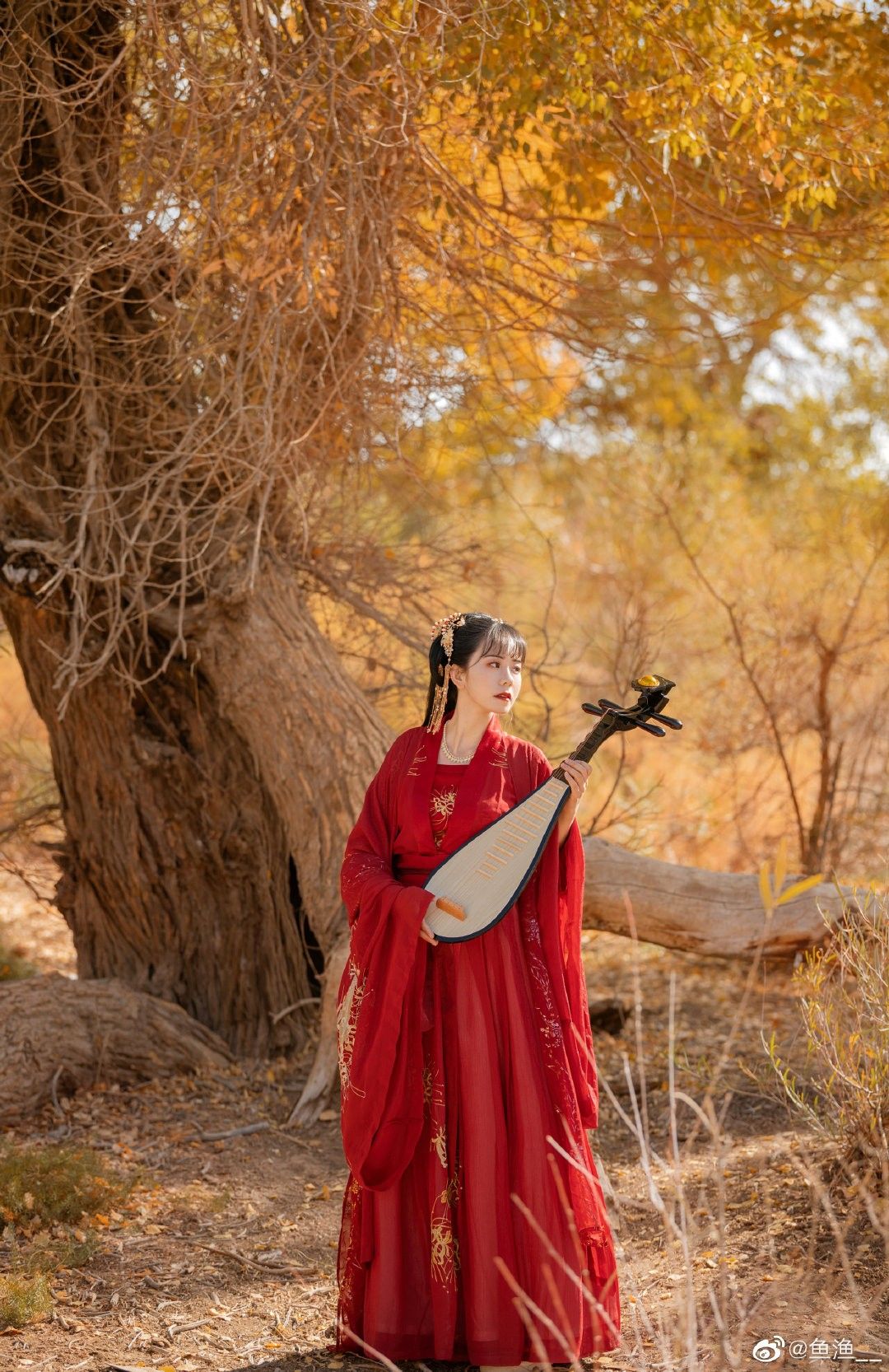 The Splendor of Tang Dynasty Hanfu Hair Accessories:A Glance into Ancient Chinese Beauty