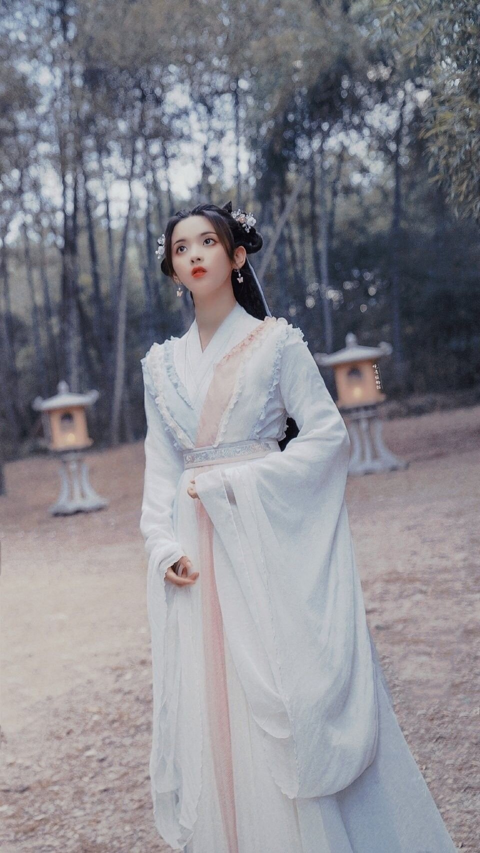 Embroidered Cheongsam:A Luxurious Blend of Tradition and Modernity Embroidered Cheongsam:A Luxurious Blend of Tradition and Modernity