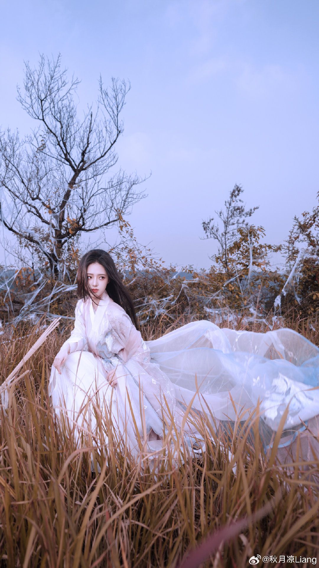 Reimagining the Winter Cheongsam:An Enhanced Version for Modern Times Reimagining the Winter Cheongsam:An Enhanced Version for Modern Times