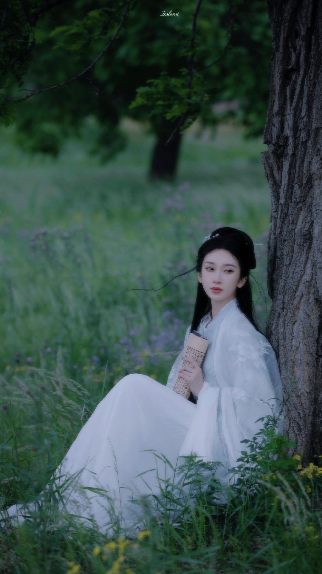 The Bridal Headdress of Hanfu Traditional Chinese Wedding The Bridal Headdress of Hanfu Traditional Chinese Wedding