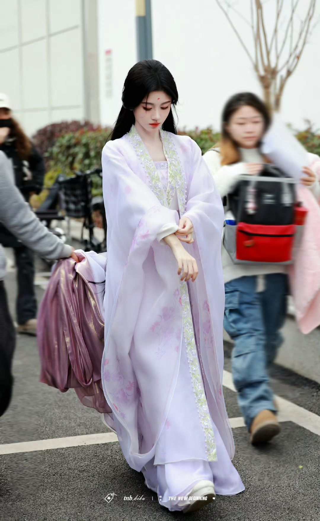 The Splendor of Womens Hanfu in the Style of the Jin-Wei Dynasty with Broad Sleeves The Splendor of Womens Hanfu in the Style of the Jin-Wei Dynasty with Broad Sleeves