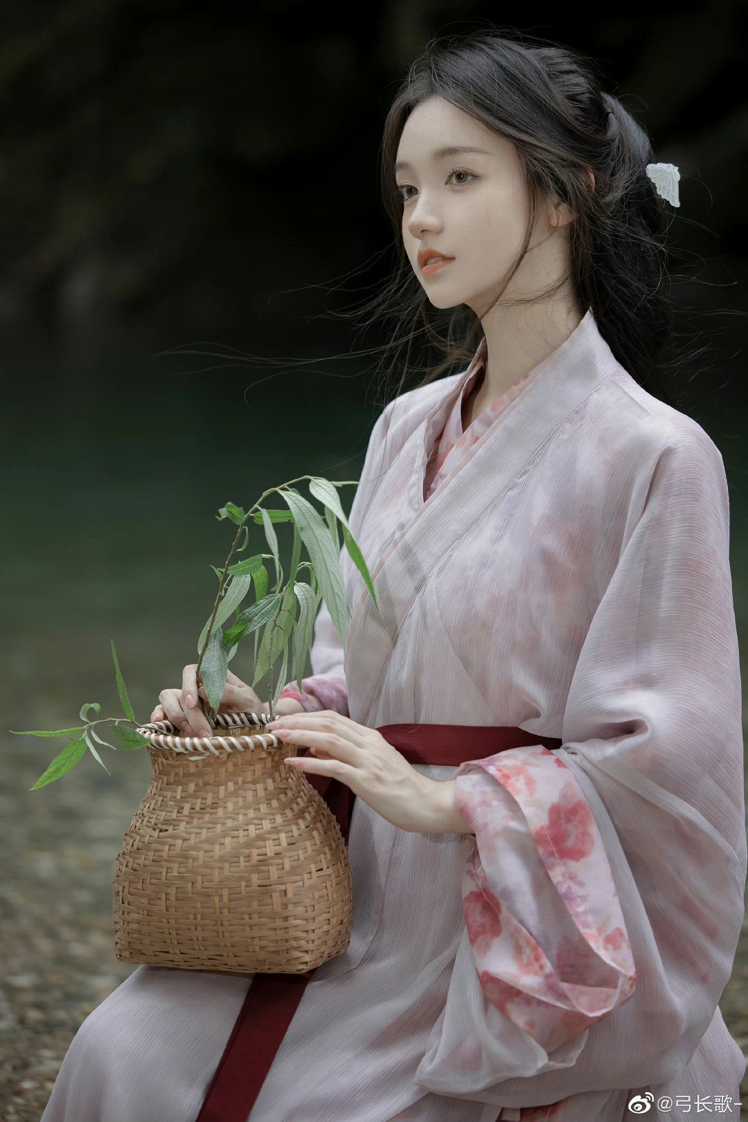 Elegant Adult Womens Hanfu Long-sleeved Robes:A Cultural Journey Elegant Adult Womens Hanfu Long-sleeved Robes:A Cultural Journey