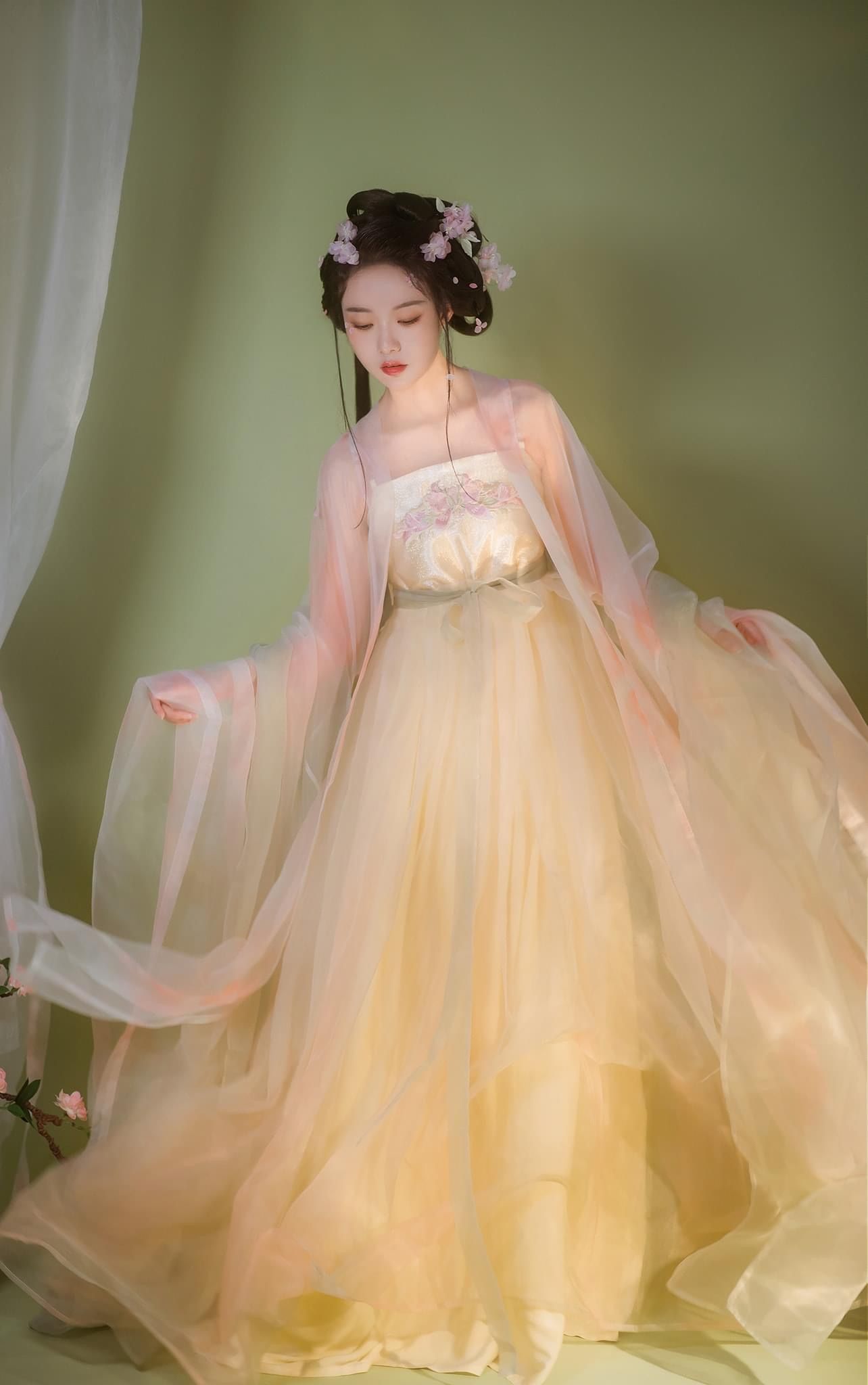 The Revival of Hanfu:The Elegance of Ming-Style Adult Womens Hanfu