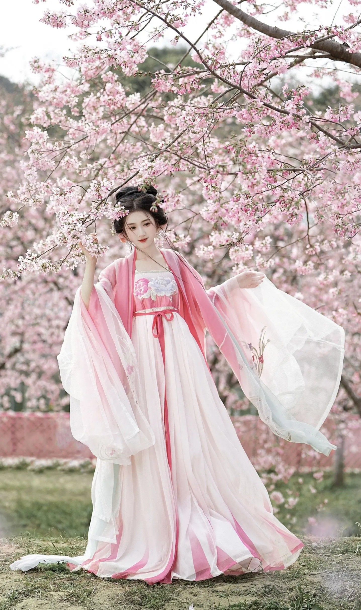 Ancient Charm in Modern Summer:The Rise of Girls Traditional Hanfu Costumes in Summer Ancient Charm in Modern Summer:The Rise of Girls Traditional Hanfu Costumes in Summer