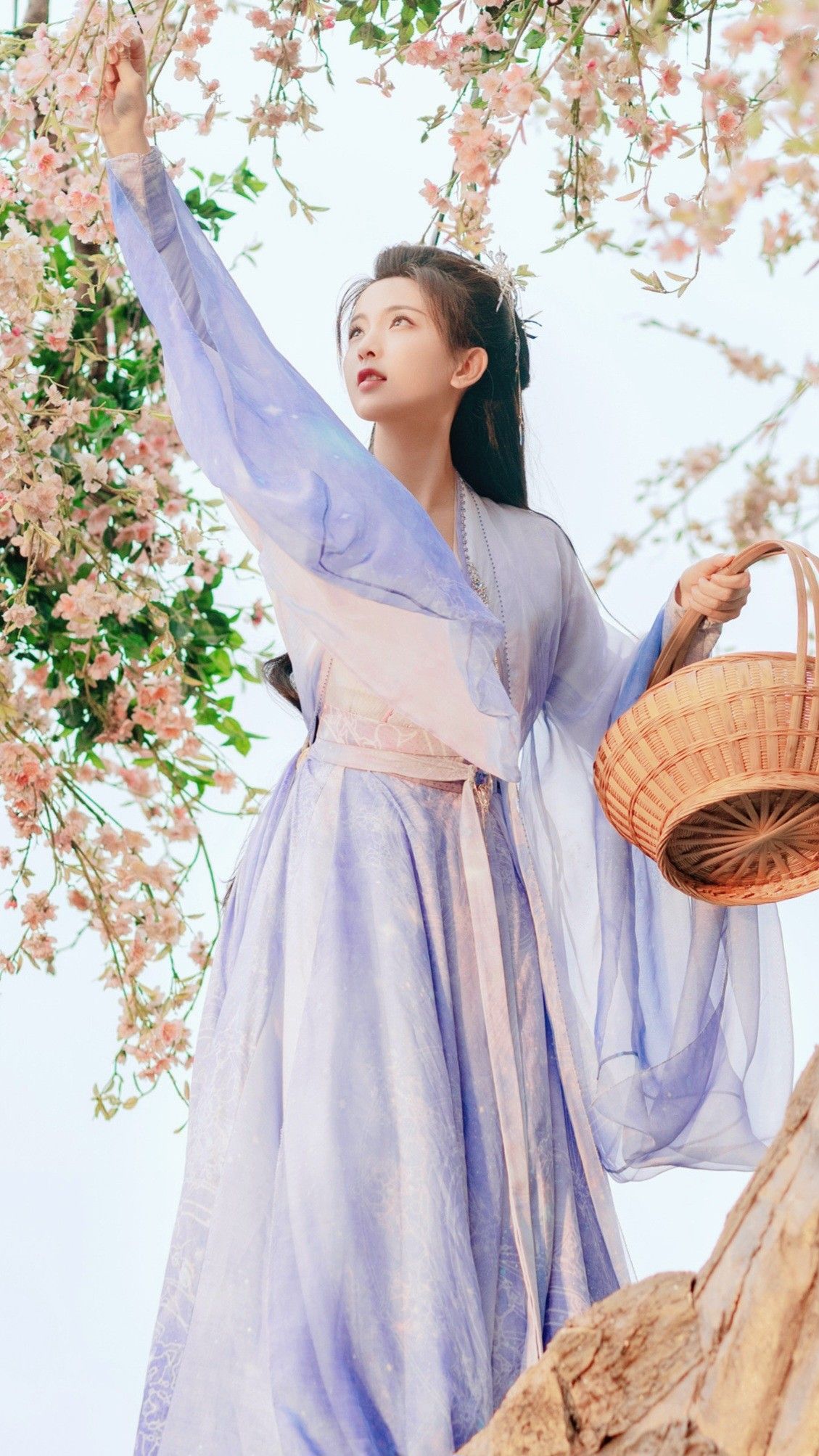The Exclusive Hangout for Cheongsam:The Qipao Clothes Rack The Exclusive Hangout for Cheongsam:The Qipao Clothes Rack