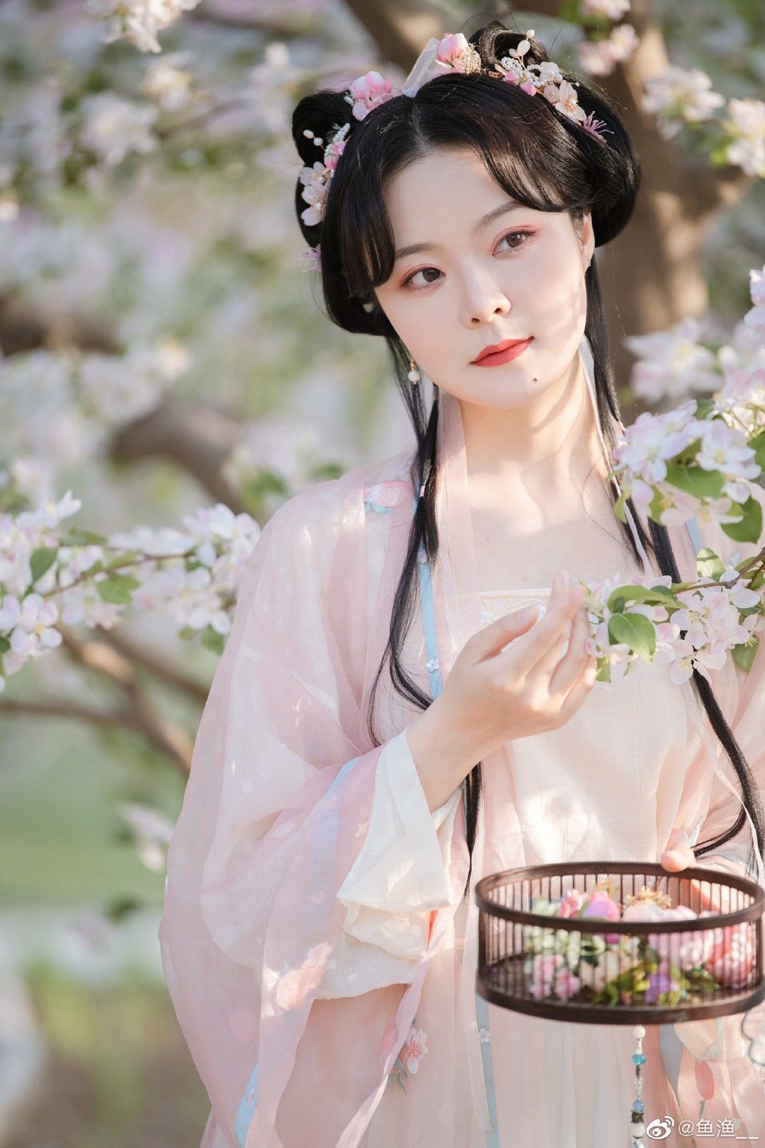 Authentic Qipao Beauty:The Ode to the Cheongsam Skirt Authentic Qipao Beauty:The Ode to the Cheongsam Skirt