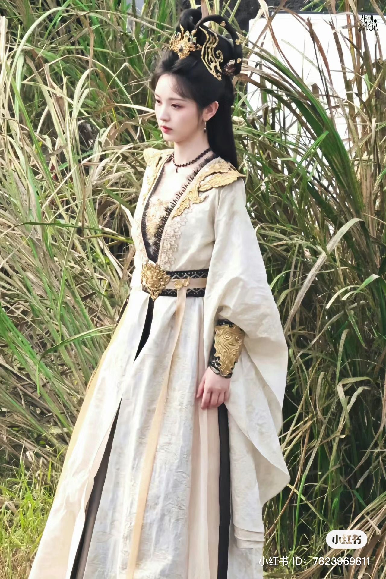 The Elegance of MIMO DK Cheongsam:A Traditional Chinese Fashion Statement The Elegance of MIMO DK Cheongsam:A Traditional Chinese Fashion Statement