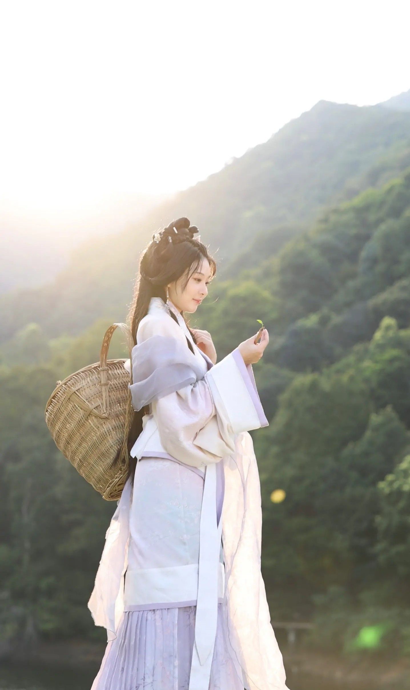 Exploring the Rise of Plus-Size Hanfu in Jin-Style Fashion Exploring the Rise of Plus-Size Hanfu in Jin-Style Fashion
