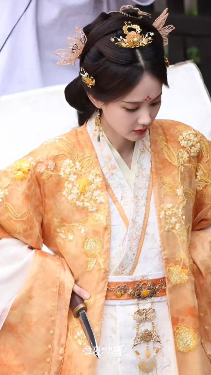 The Rise of the Hanfu Hooded Women:Embracing Traditional Elegance in Modern Times The Rise of the Hanfu Hooded Women:Embracing Traditional Elegance in Modern Times