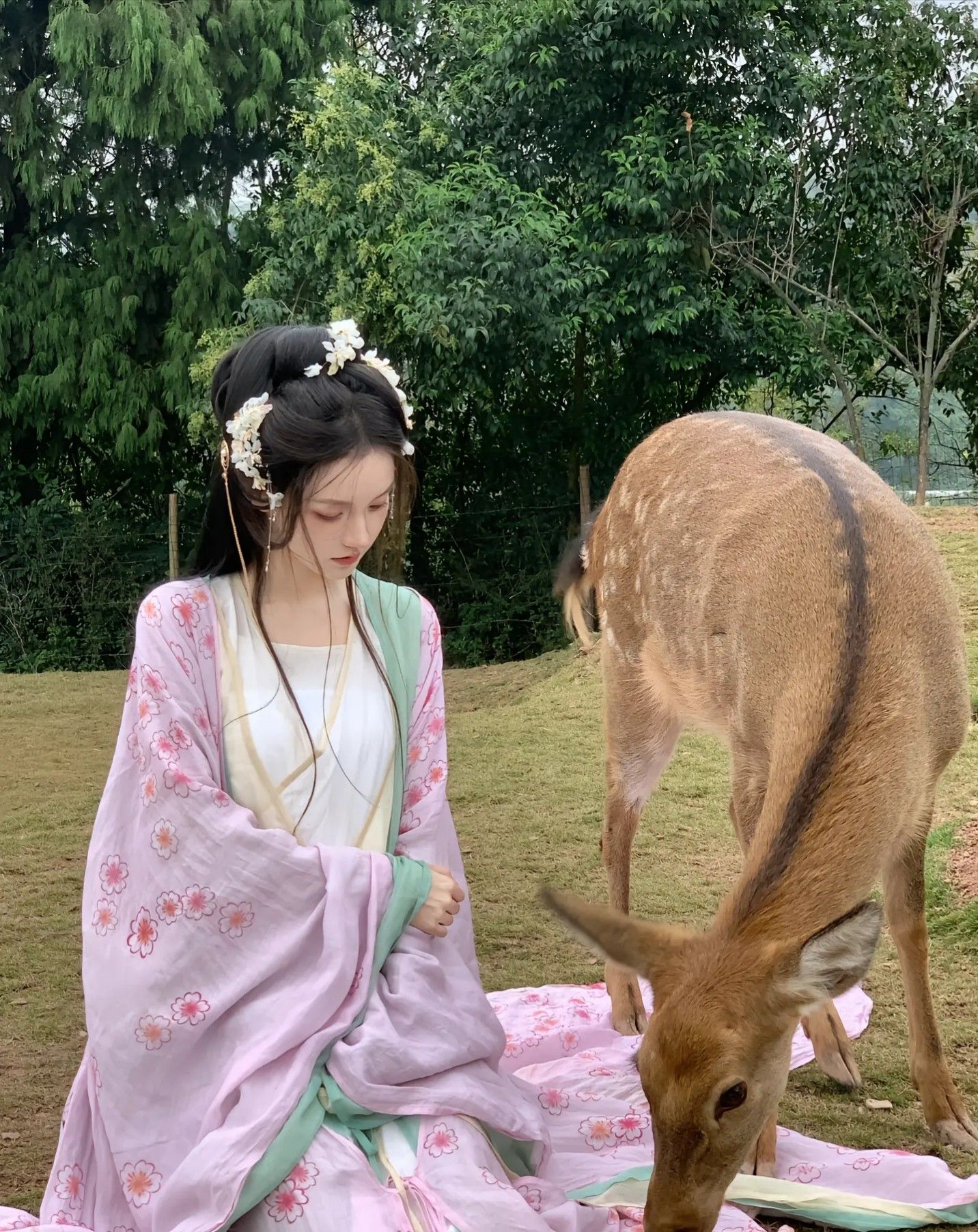 Summer in a Cheongsam:Embracing the Traditional Beauty in Summers Heat Summer in a Cheongsam:Embracing the Traditional Beauty in Summers Heat