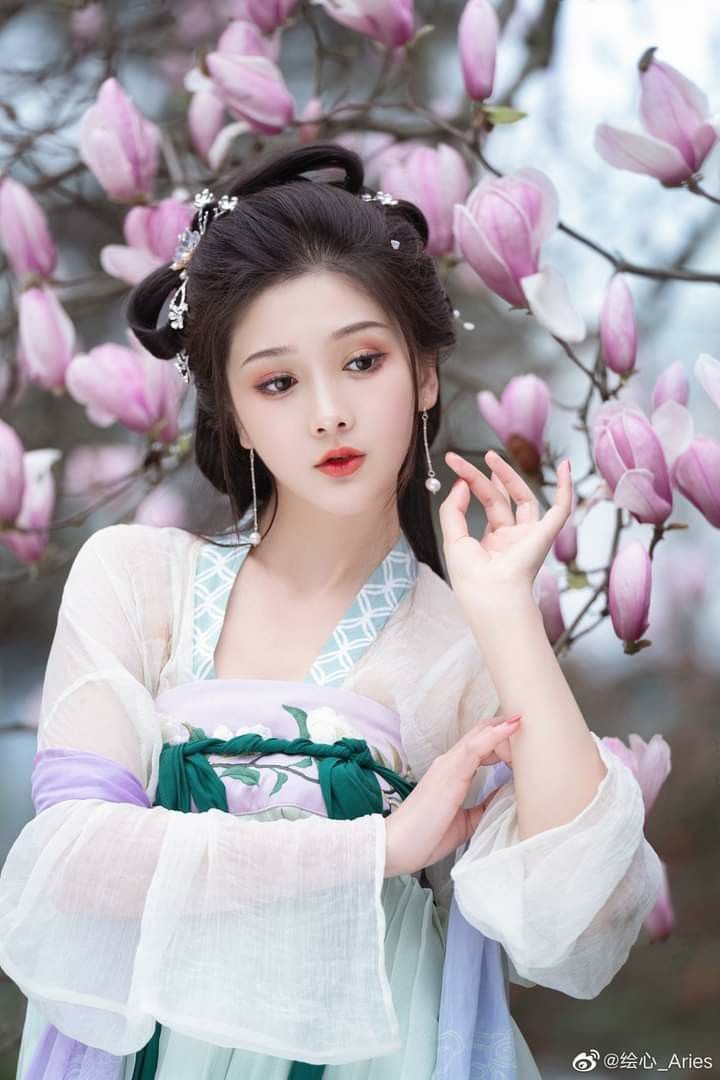 The Unique Charm of Bijia Hanfu:A Journey into Traditional Chinese Elegance The Unique Charm of Bijia Hanfu:A Journey into Traditional Chinese Elegance