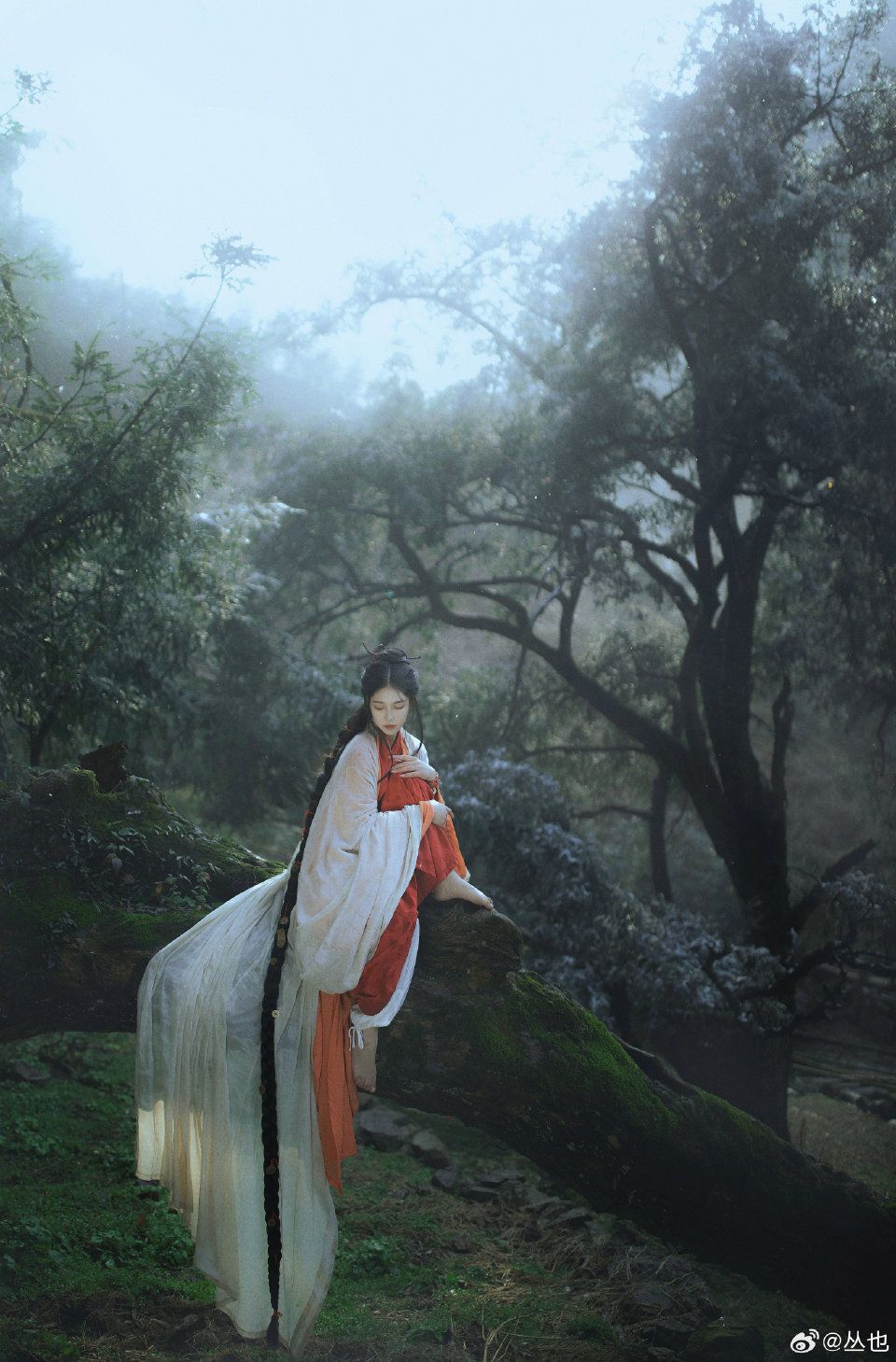 Phoenix Amidst the Babbage:The Allure of Hanfu at an Affordable Price Phoenix Amidst the Babbage:The Allure of Hanfu at an Affordable Price