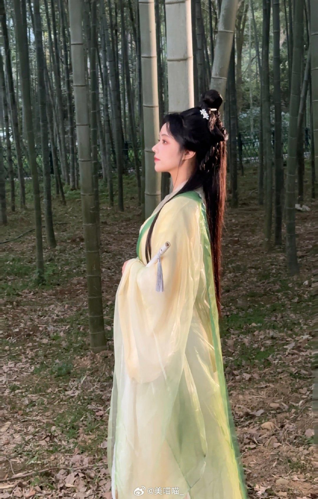 Summer Ethereal Elegance:The Enchanting Girls Hanfu Dress in the Form of a Skirt Summer Ethereal Elegance:The Enchanting Girls Hanfu Dress in the Form of a Skirt