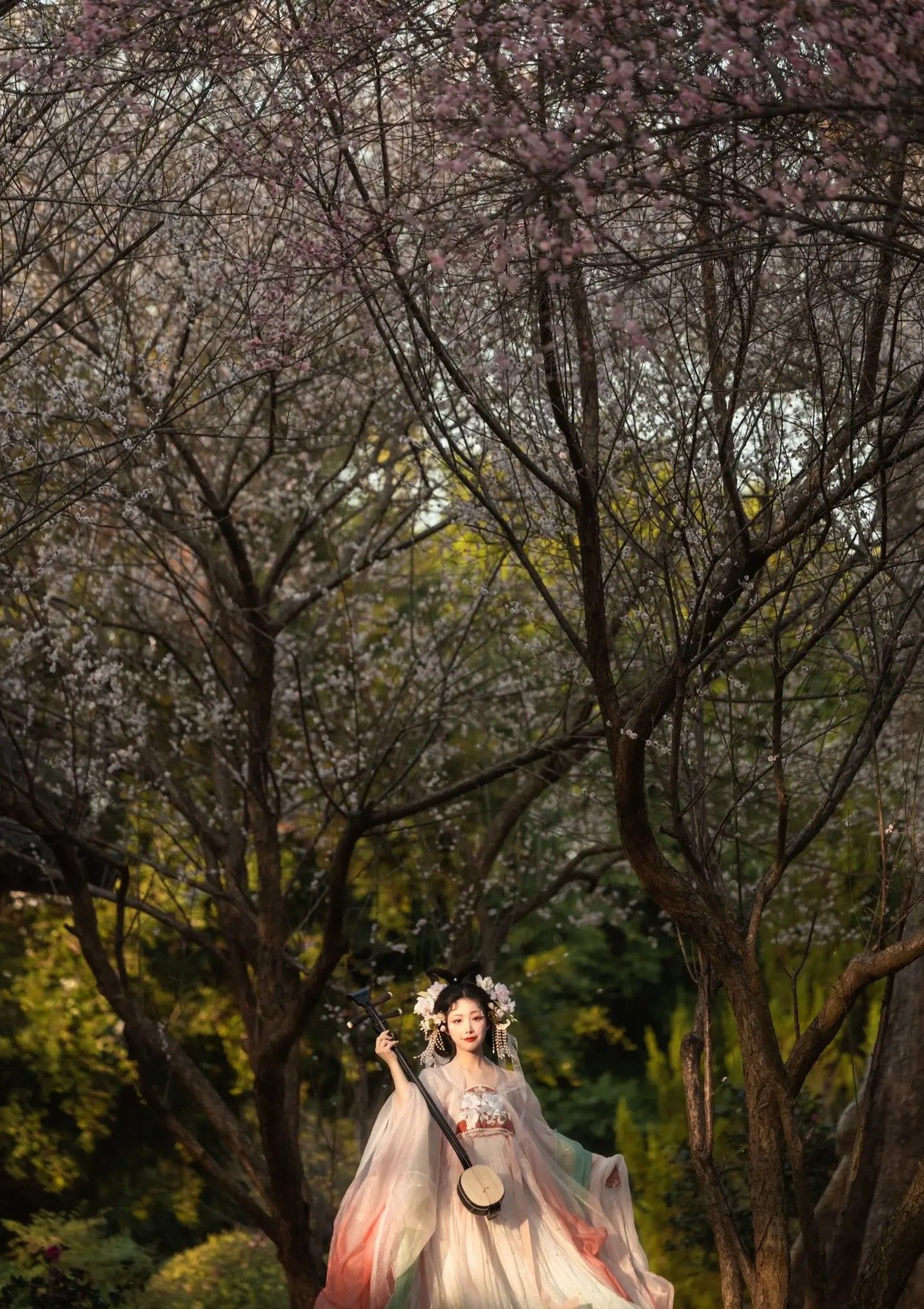 The Child in the Horseface Skirt:A Journey into Traditional Chinese Clothing