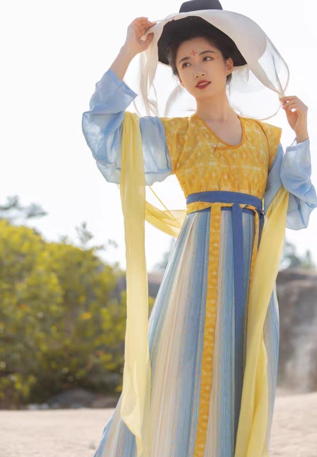 Winter Hanfu Costumes for Adult Women:A Guide to Traditional Elegance Winter Hanfu Costumes for Adult Women:A Guide to Traditional Elegance