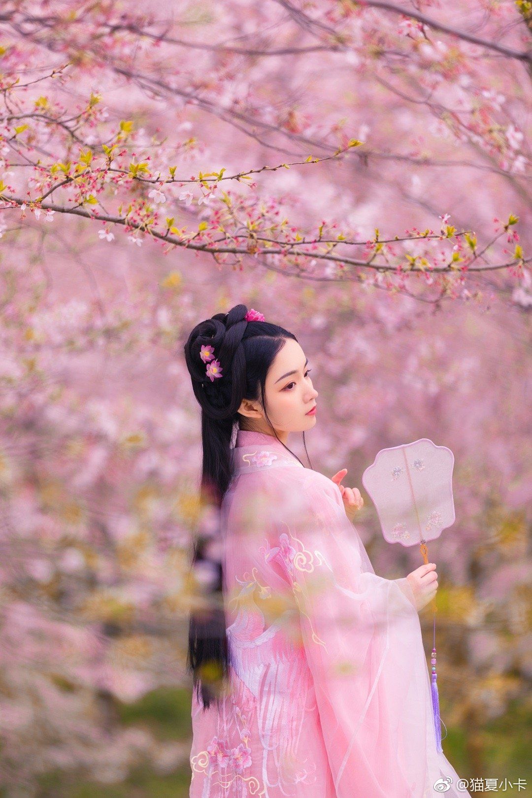 The Elegance of a Long-Shirted Hanfu Woman The Elegance of a Long-Shirted Hanfu Woman