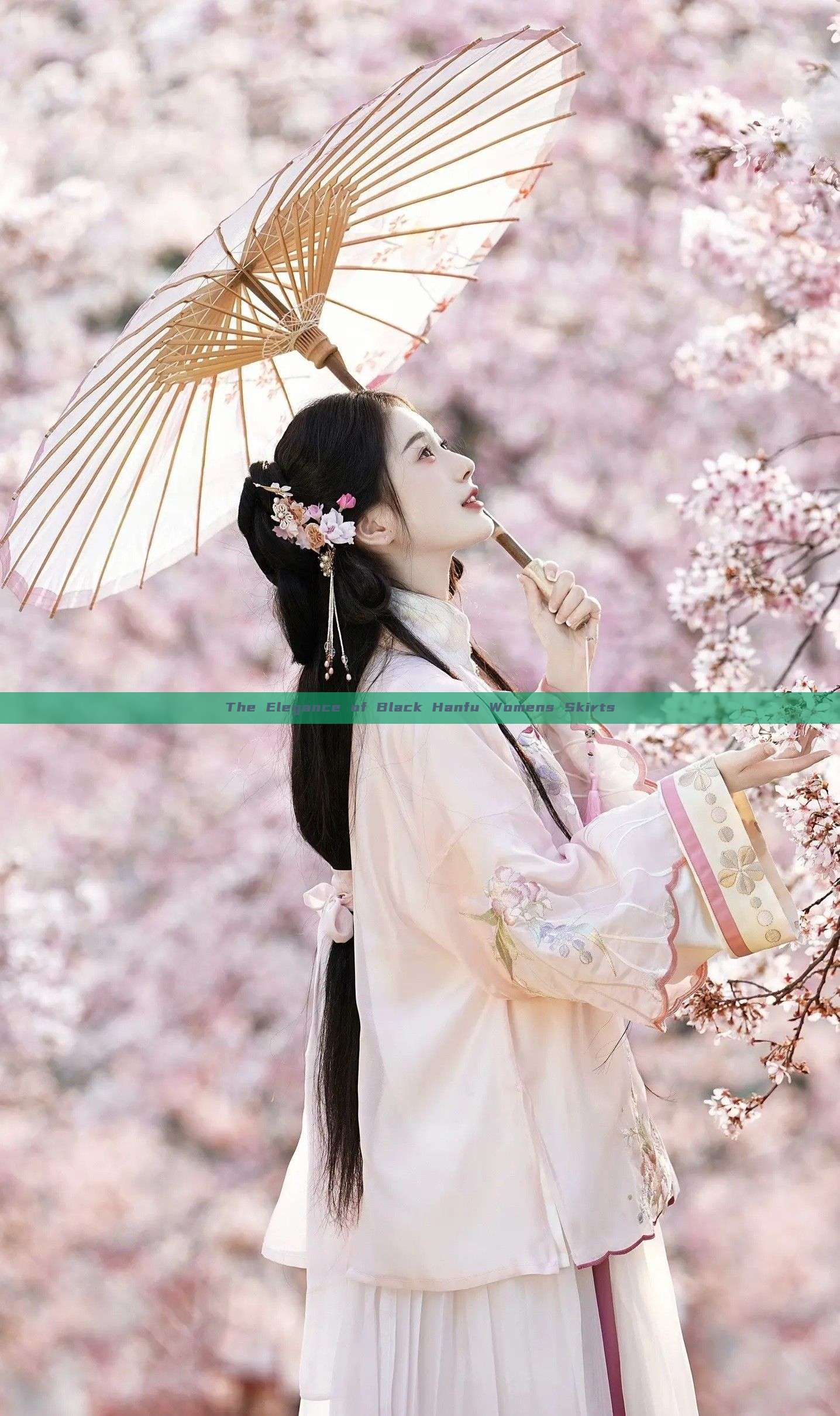 The Elegance of Black Hanfu Womens Skirts The Elegance of Black Hanfu Womens Skirts