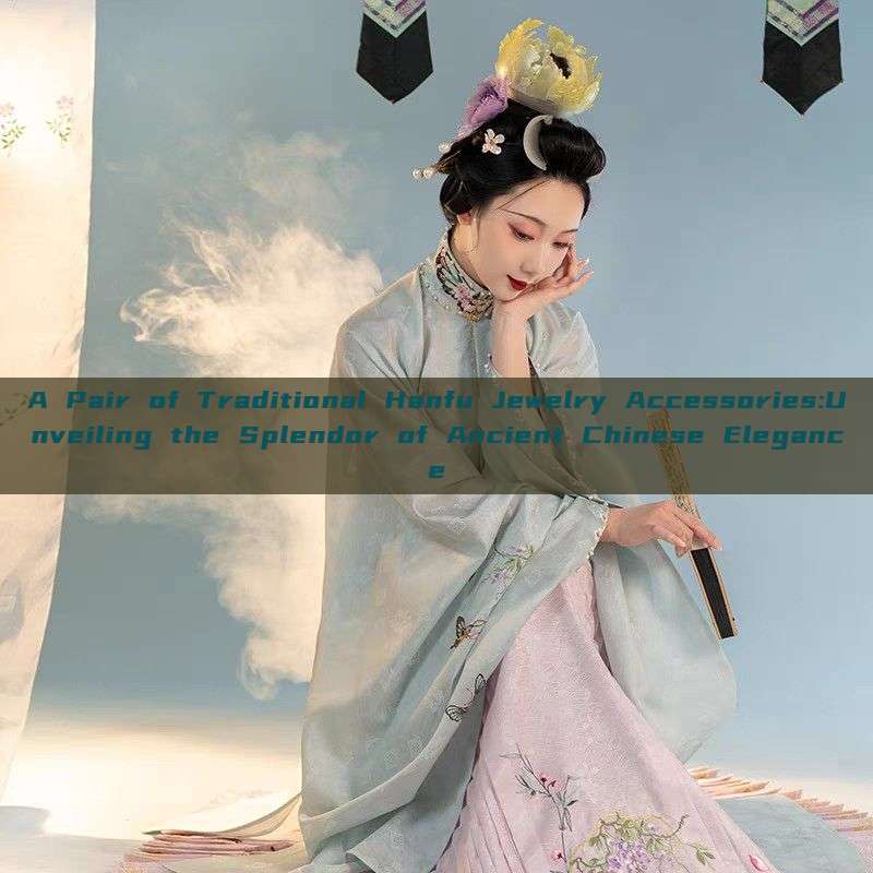 A Pair of Traditional Hanfu Jewelry Accessories:Unveiling the Splendor of Ancient Chinese Elegance A Pair of Traditional Hanfu Jewelry Accessories:Unveiling the Splendor of Ancient Chinese Elegance