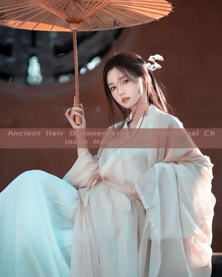 Ancient Hair Ornamentation in Traditional Chinese Hanfu Fashion Ancient Hair Ornamentation in Traditional Chinese Hanfu Fashion