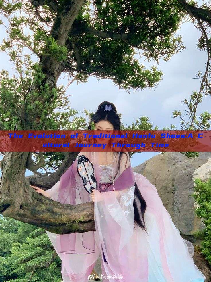 The Evolution of Traditional Hanfu Shoes:A Cultural Journey Through Time