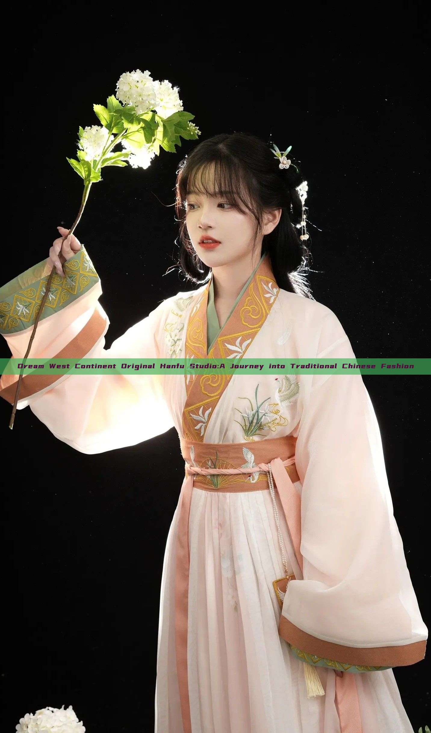 Dream West Continent Original Hanfu Studio:A Journey into Traditional Chinese Fashion Dream West Continent Original Hanfu Studio:A Journey into Traditional Chinese Fashion