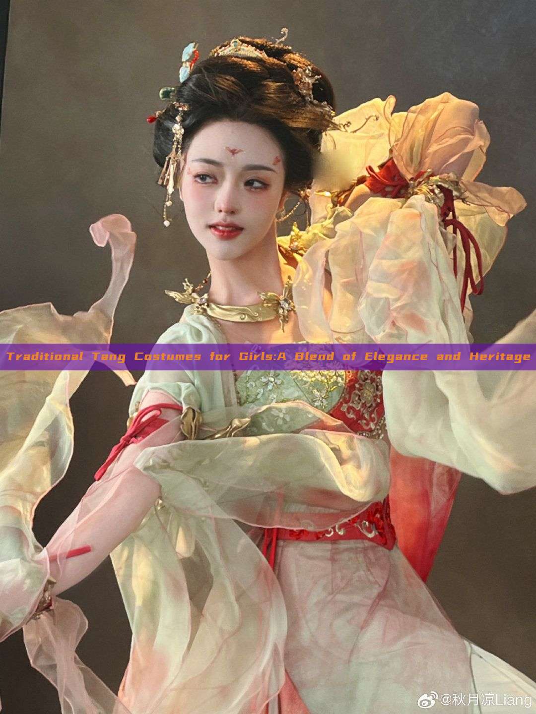 Traditional Tang Costumes for Girls:A Blend of Elegance and Heritage Traditional Tang Costumes for Girls:A Blend of Elegance and Heritage