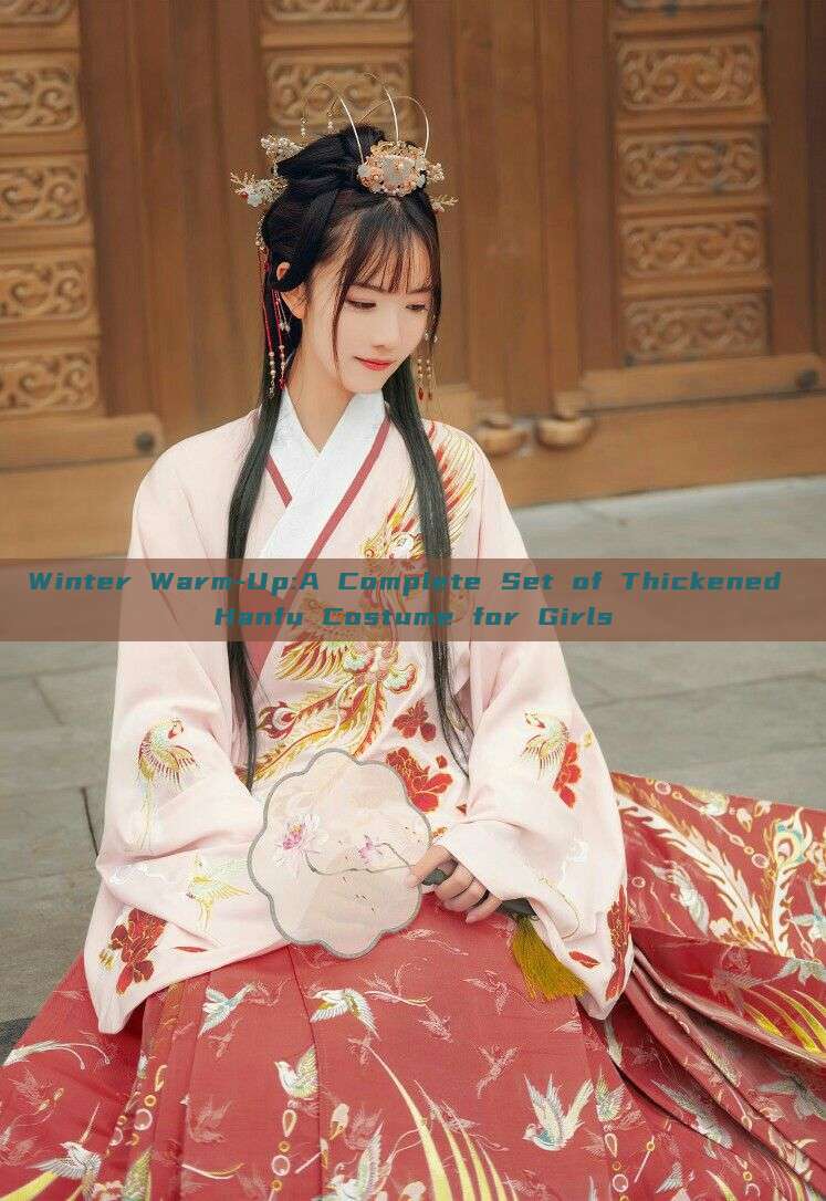 Winter Warm-Up:A Complete Set of Thickened Hanfu Costume for Girls Winter Warm-Up:A Complete Set of Thickened Hanfu Costume for Girls