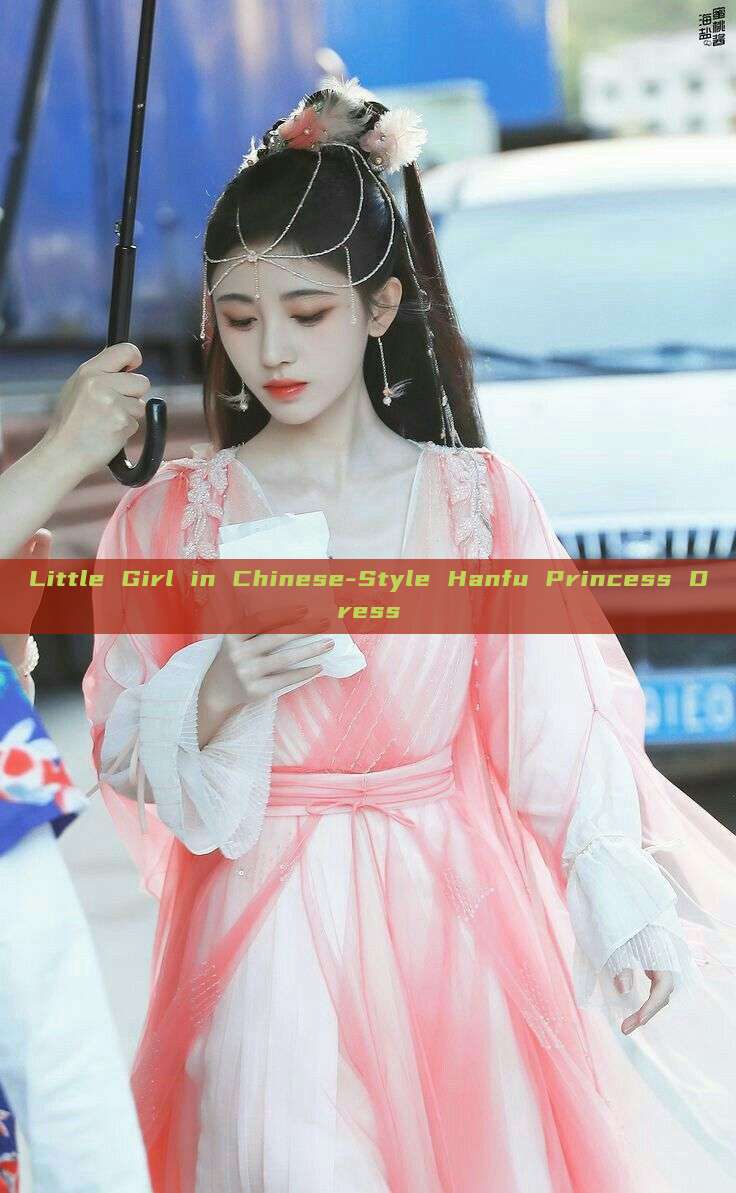 Little Girl in Chinese-Style Hanfu Princess Dress Little Girl in Chinese-Style Hanfu Princess Dress