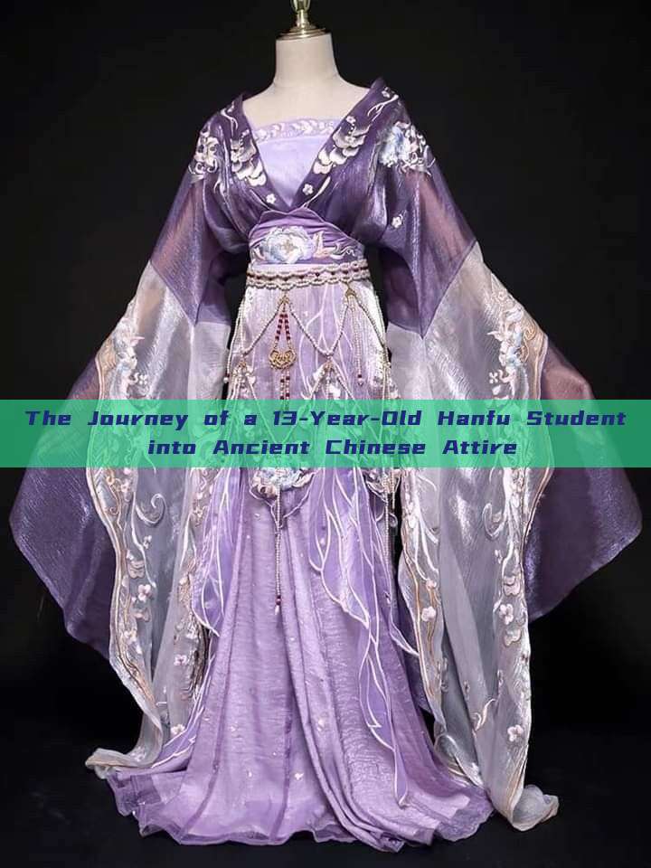 The Journey of a 13-Year-Old Hanfu Student into Ancient Chinese Attire The Journey of a 13-Year-Old Hanfu Student into Ancient Chinese Attire