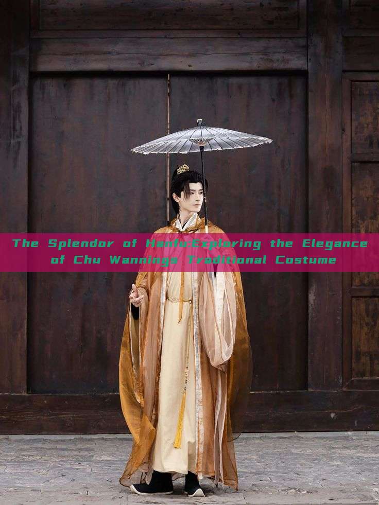 The Splendor of Hanfu:Exploring the Elegance of Chu Wannings Traditional Costume