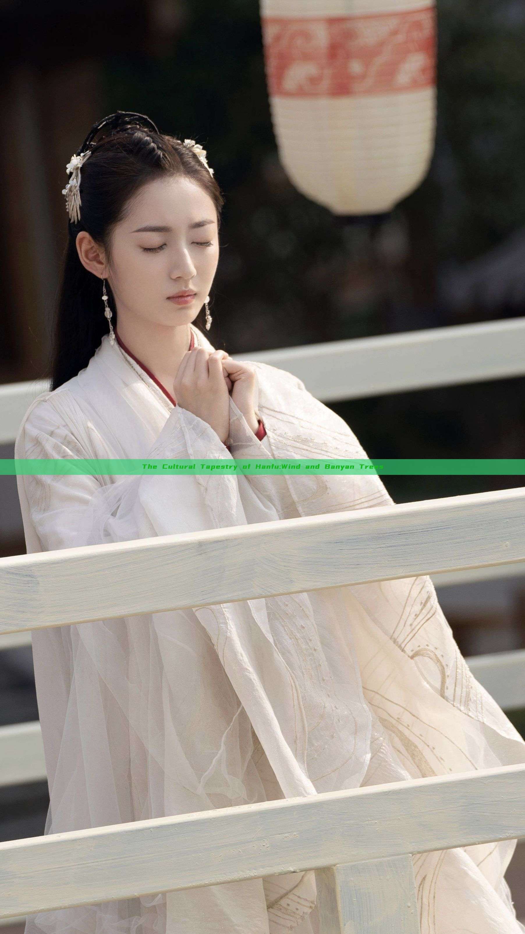 The Cultural Tapestry of Hanfu:Wind and Banyan Trees The Cultural Tapestry of Hanfu:Wind and Banyan Trees