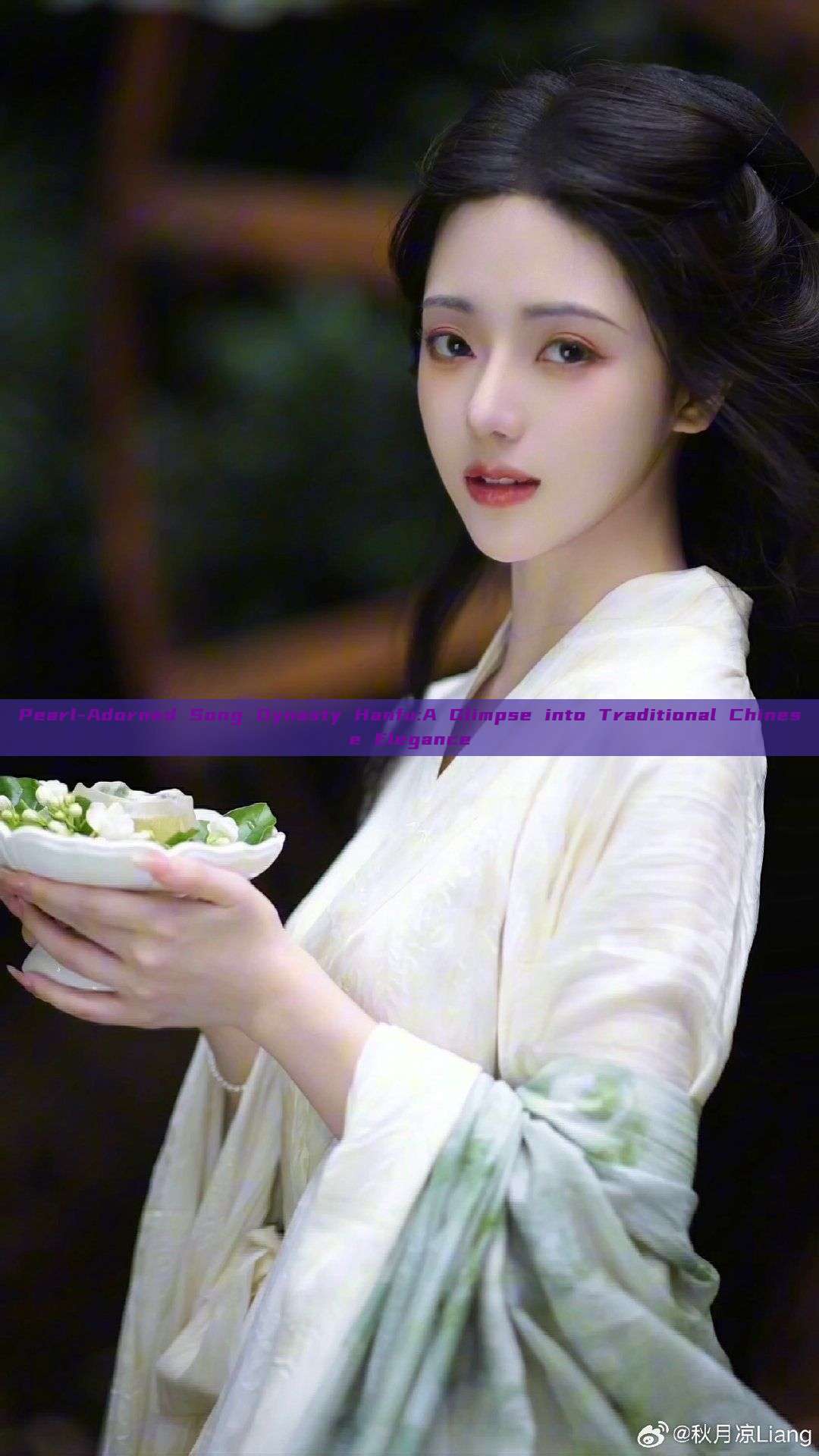 Pearl-Adorned Song Dynasty Hanfu:A Glimpse into Traditional Chinese Elegance Pearl-Adorned Song Dynasty Hanfu:A Glimpse into Traditional Chinese Elegance