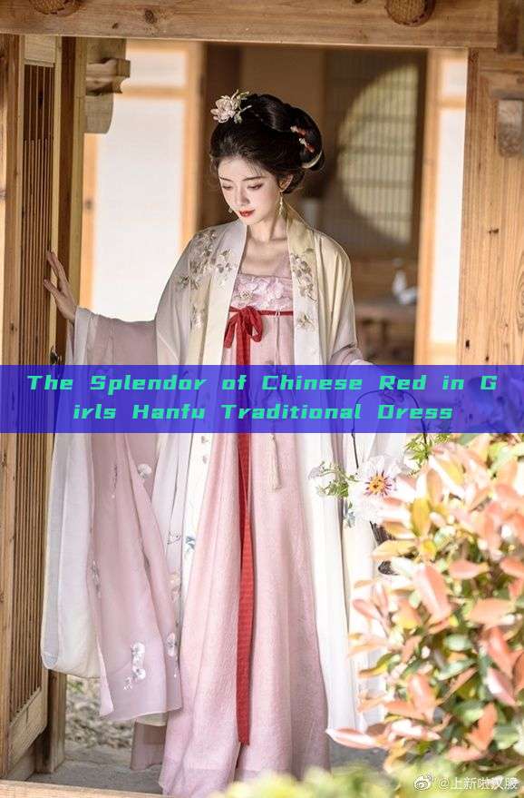 The Splendor of Chinese Red in Girls Hanfu Traditional Dress The Splendor of Chinese Red in Girls Hanfu Traditional Dress