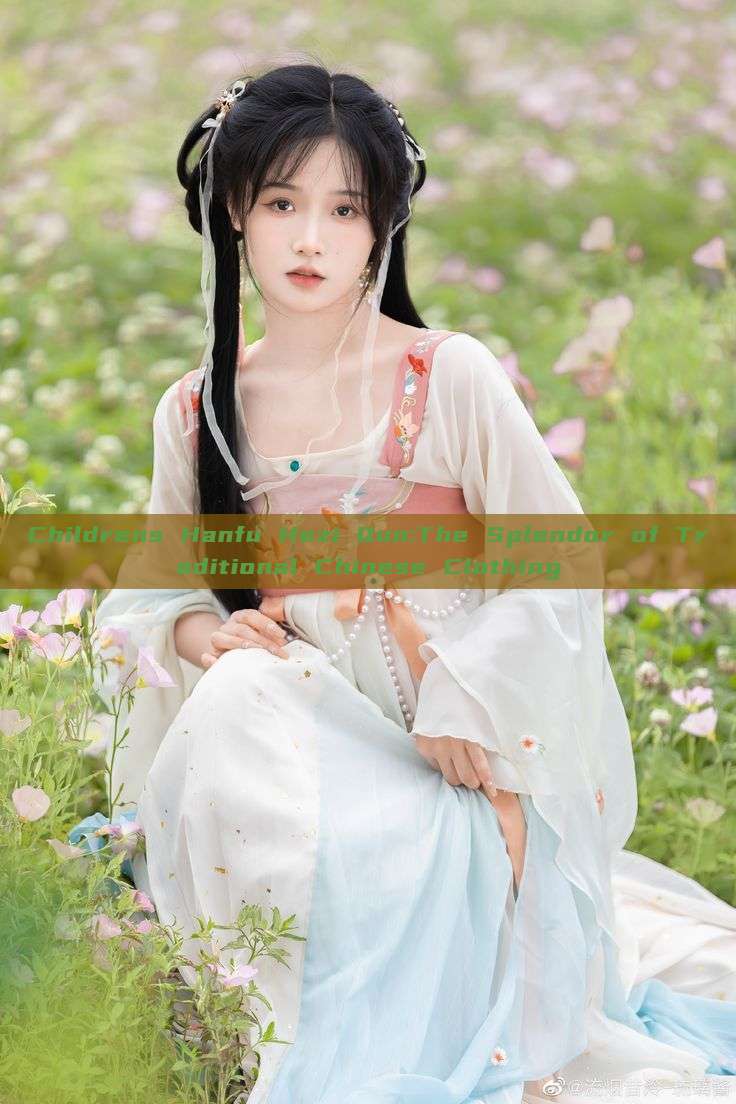 Childrens Hanfu Hezi Qun:The Splendor of Traditional Chinese Clothing Childrens Hanfu Hezi Qun:The Splendor of Traditional Chinese Clothing