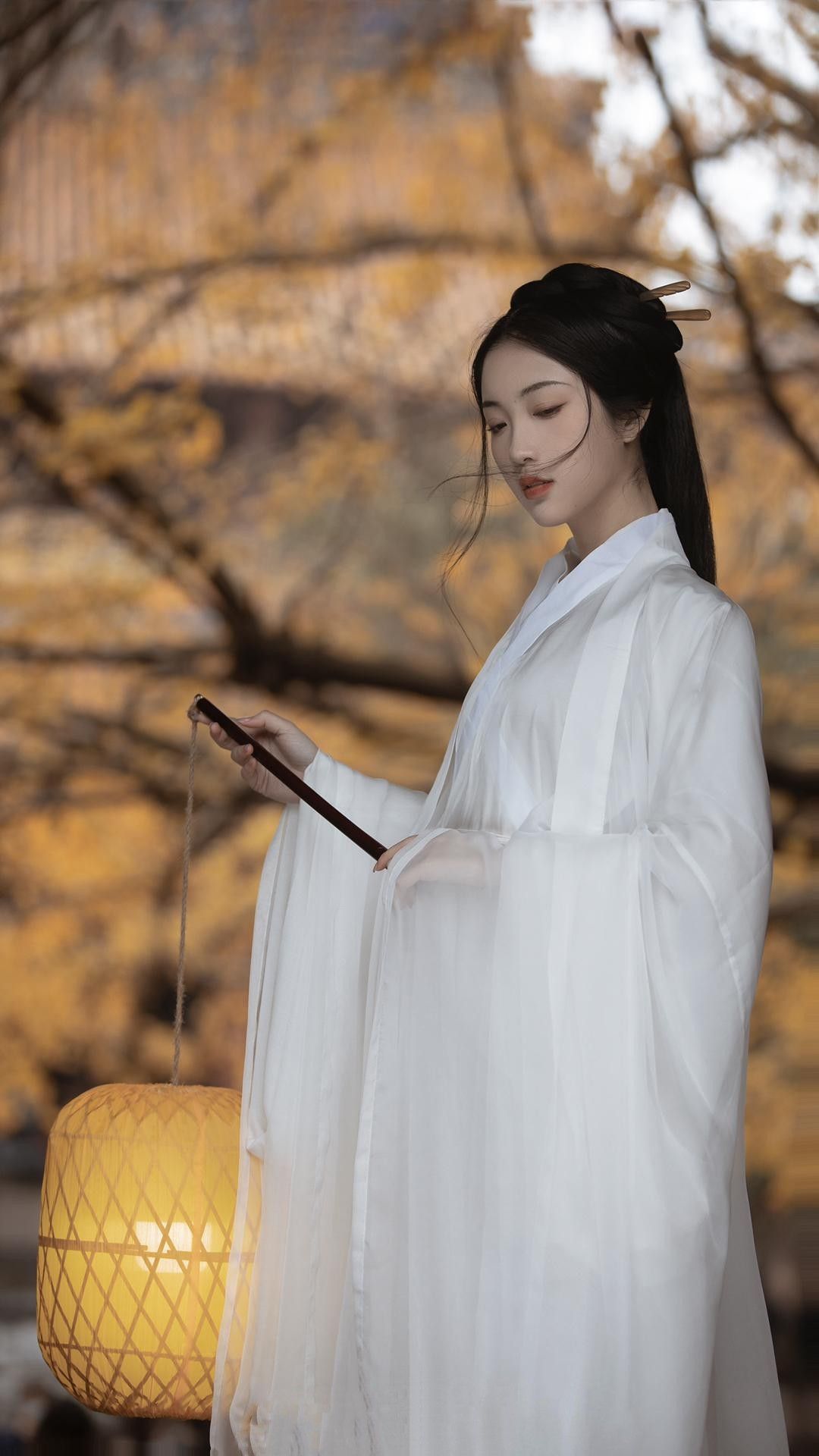 Qipao:The Traditional Chinese Student Fashion Qipao:The Traditional Chinese Student Fashion
